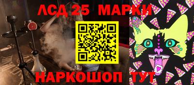 спиды Гай