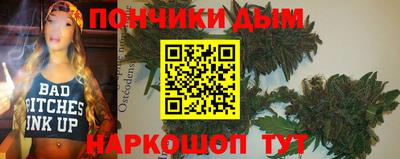 PSILOCYBIN Гатчина