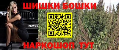 PSILOCYBIN Гатчина