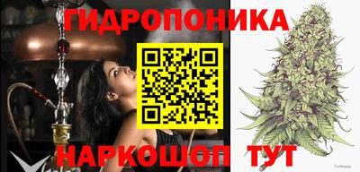 Альфа ПВП Гагарин