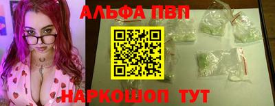 спиды Гай