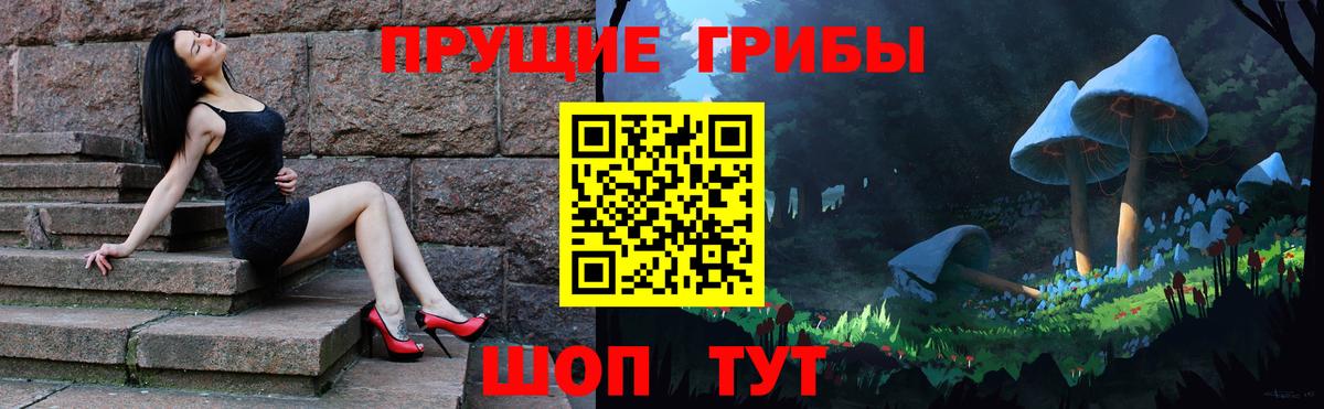 Галлюциногенные грибы Psilocybe Новоалтайск
